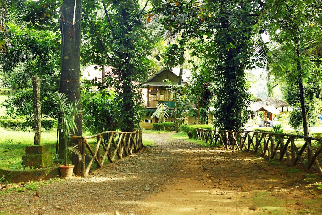 Hotel Soma Birds Lagoon Kotamangalam Exterior foto